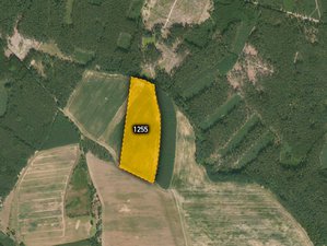 Prodej zemědělské půdy 25017 m² Blížejov