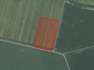 Prodej zemědělské půdy 10790 m² Loučany