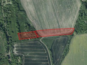 Prodej zemědělské půdy 7076 m² Podsedice