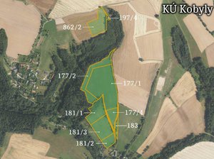 Prodej zemědělské půdy 116245 m² Kobyly