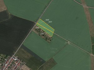 Prodej zemědělské půdy 6461 m² Bochoř