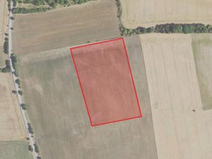 Prodej zemědělské půdy 7077 m² Zvoleněves