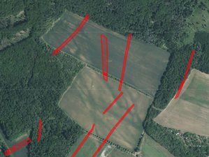 Prodej zemědělské půdy 20161 m² Silůvky