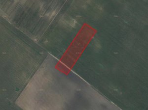 Prodej zemědělské půdy 9810 m² Moravský Žižkov