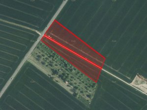 Prodej zemědělské půdy 6461 m² Bochoř