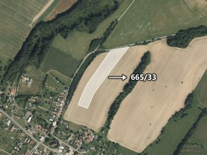 Prodej zemědělské půdy 5299 m² Domašov u Šternberka