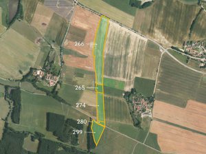 Prodej zemědělské půdy 137556 m² Němčice