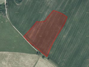 Prodej zemědělské půdy 28724 m² Nové Lublice