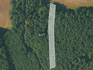 Prodej lesa 8548 m² Příbraz