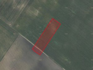 Prodej zemědělské půdy 8818 m² Moravský Žižkov