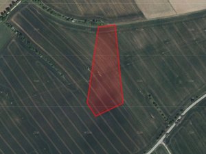 Prodej zemědělské půdy 23520 m² Jasenice