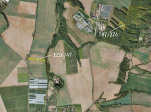 Prodej zemědělské půdy 13444 m² Vitice