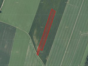 Prodej zemědělské půdy 21124 m² Opava