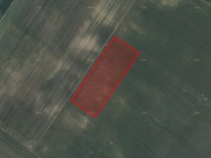 Prodej zemědělské půdy 13825 m² Moravský Žižkov