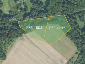 Prodej zemědělské půdy 5419 m² Poděbrady