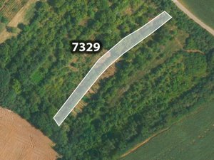 Prodej zemědělské půdy 2131 m² Lovčice