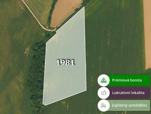 Prodej zemědělské půdy 37163 m² Dlouhá Loučka
