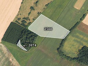 Prodej zemědělské půdy 25101 m² Brodek u Konice