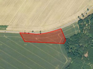 Prodej zemědělské půdy 5434 m² Javorník
