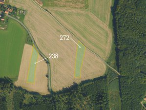 Prodej zemědělské půdy 9054 m² Morašice