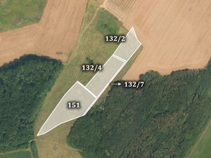 Prodej zemědělské půdy 24859 m² Chotiněves