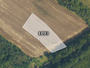 Prodej zemědělské půdy 23453 m² Horušice