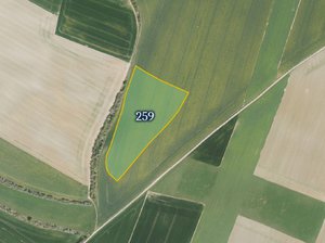 Prodej zemědělské půdy 9534 m² Dolní Slivno