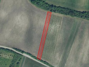 Prodej zemědělské půdy 5378 m² Hlohovec