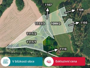Prodej lesa 13296 m² Slatina