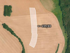 Prodej zemědělské půdy 22353 m² Líšťany