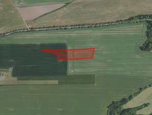 Prodej zemědělské půdy 10286 m² Nučice