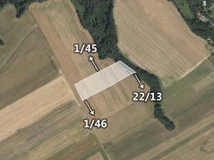 Prodej zemědělské půdy 6431 m² Domašov u Šternberka