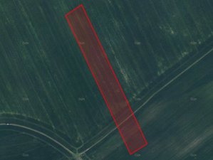 Prodej zemědělské půdy 15478 m² Býkev