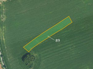 Prodej zemědělské půdy 7039 m² Kraborovice