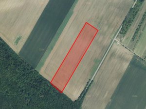 Prodej zemědělské půdy 8850 m² Miroslavské Knínice
