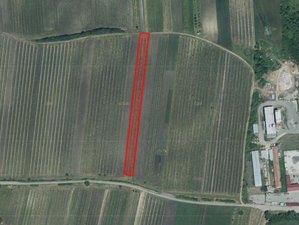 Prodej zemědělské půdy 3773 m² Hlohovec