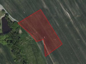 Prodej zemědělské půdy 6231 m² Zbraslavice