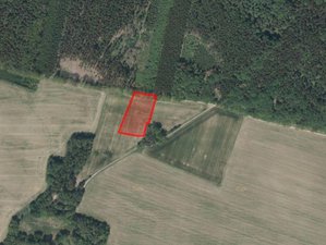 Prodej zemědělské půdy 26407 m² Lázně Bělohrad