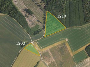Prodej zemědělské půdy 3273 m² Vitčice