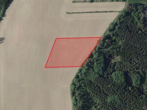 Prodej zemědělské půdy 15383 m² Nová Cerekev