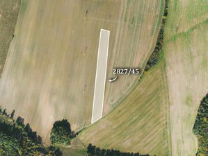 Prodej zemědělské půdy 5389 m² Kostelec nad Černými lesy