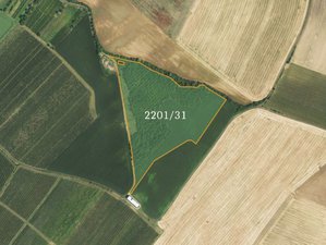 Prodej zemědělské půdy 71982 m² Bořetice