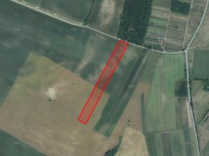 Prodej zemědělské půdy 6833 m² Valtice