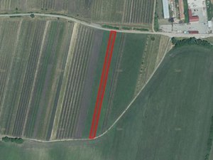 Prodej zemědělské půdy 2275 m² Hlohovec