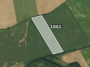 Prodej zemědělské půdy 47487 m² Dlouhá Loučka