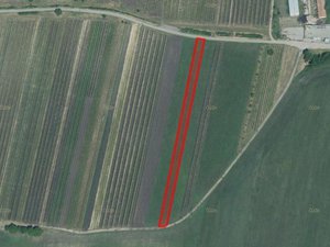 Prodej zemědělské půdy 7653 m² Hlohovec