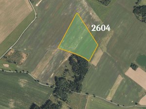 Prodej zemědělské půdy 46066 m² Brodek u Konice