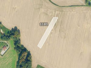 Prodej zemědělské půdy 2311 m² Bořice