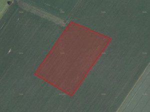Prodej zemědělské půdy 27595 m² Loučany