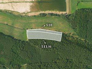 Prodej lesa 33986 m² Olešná
